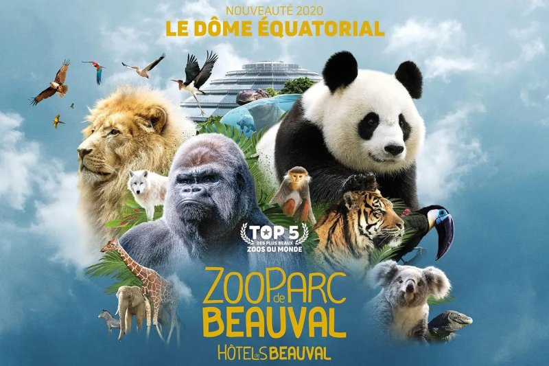 Zoo de Beauval Family Trip 🐼 | 9 மே 2026 – ஒரு மறக்க முடியாத குடும்ப சுற்றுலா! — 1/2