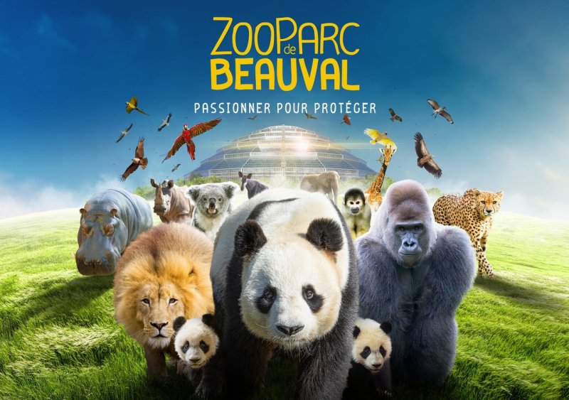 Zoo de Beauval Family Trip 🐼 | 9 மே 2026 – ஒரு மறக்க முடியாத குடும்ப சுற்றுலா! — 2/2