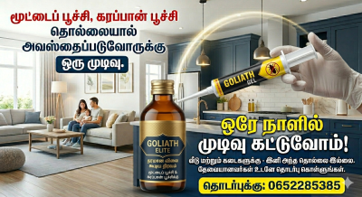 மூட்டை பூச்சி. கரப்பான் பூச்சி உடனடி நிவரனம்