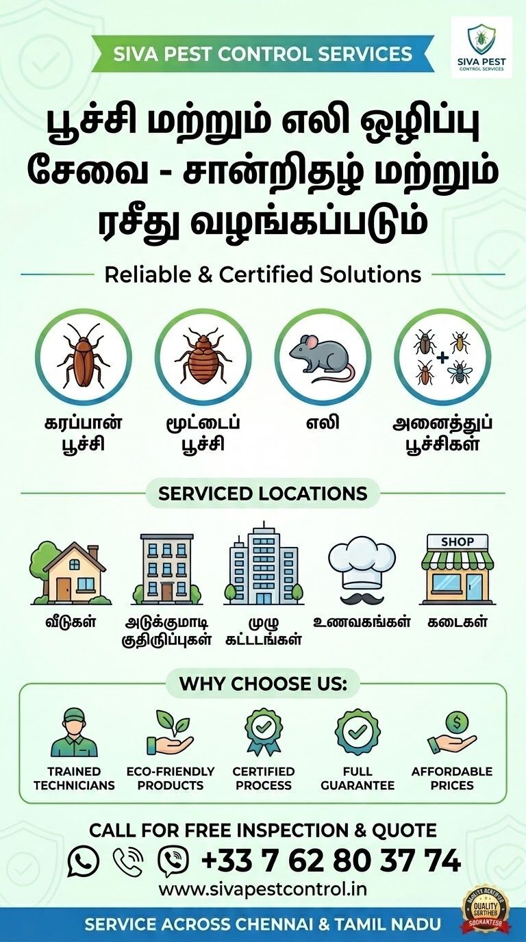 🚫 பூச்சி மற்றும் எலி ஒழிப்பு சேவை 🚫 — 1/1